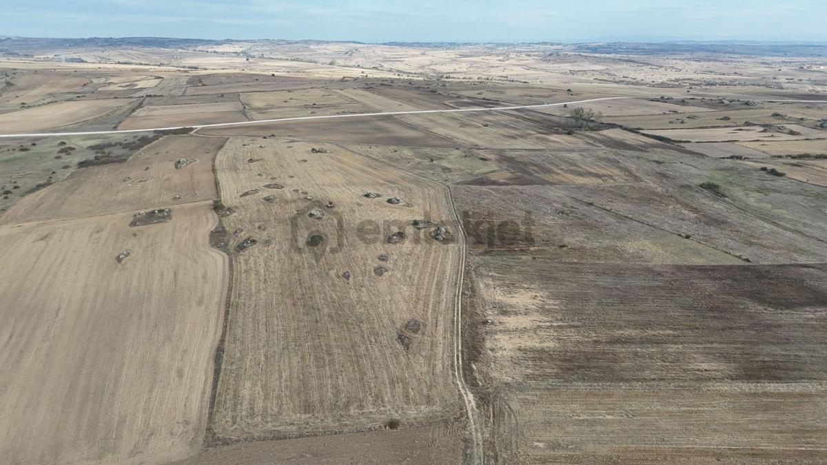 Edirne Lalapaşa Sarıdanişment Satılık 57 Dönüm Tarla - 21