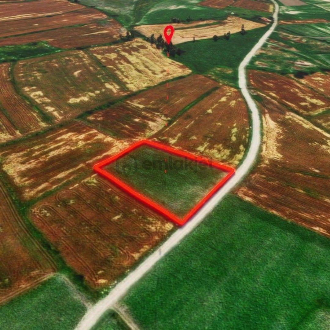 Havza Sivrikese'de Yola Cephe Satılık Arazi - 4