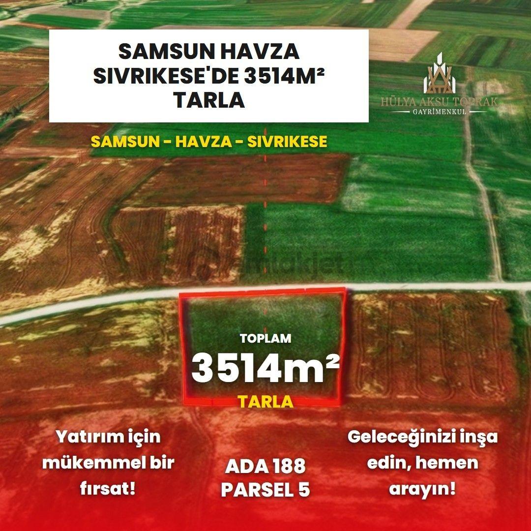 Havza Sivrikese'de Yola Cephe Satılık Arazi - 11