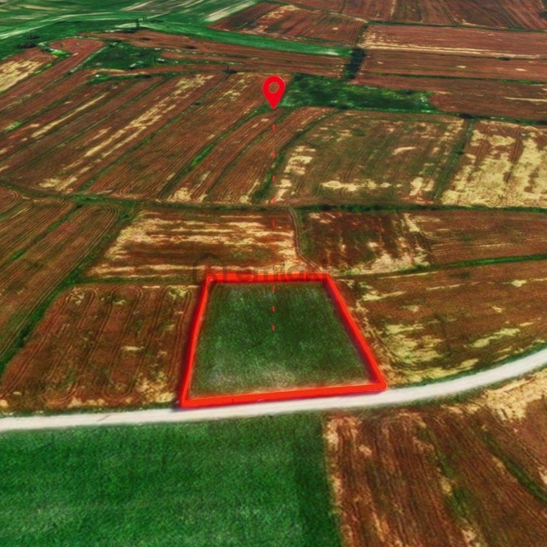 Havza Sivrikese'de Yola Cephe Satılık Arazi - 8