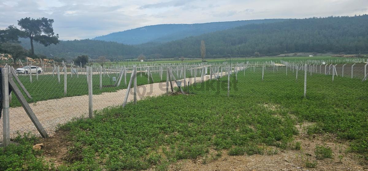 Menderes Çakaltepe'de Satılık Hobi Bahçesi - 2