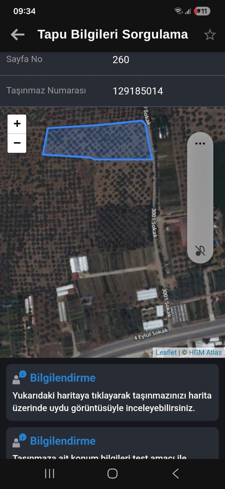 Sahibinden Bayındır Çiftçigediği'nde Satılık 7763 M² Zeytinlik - 5