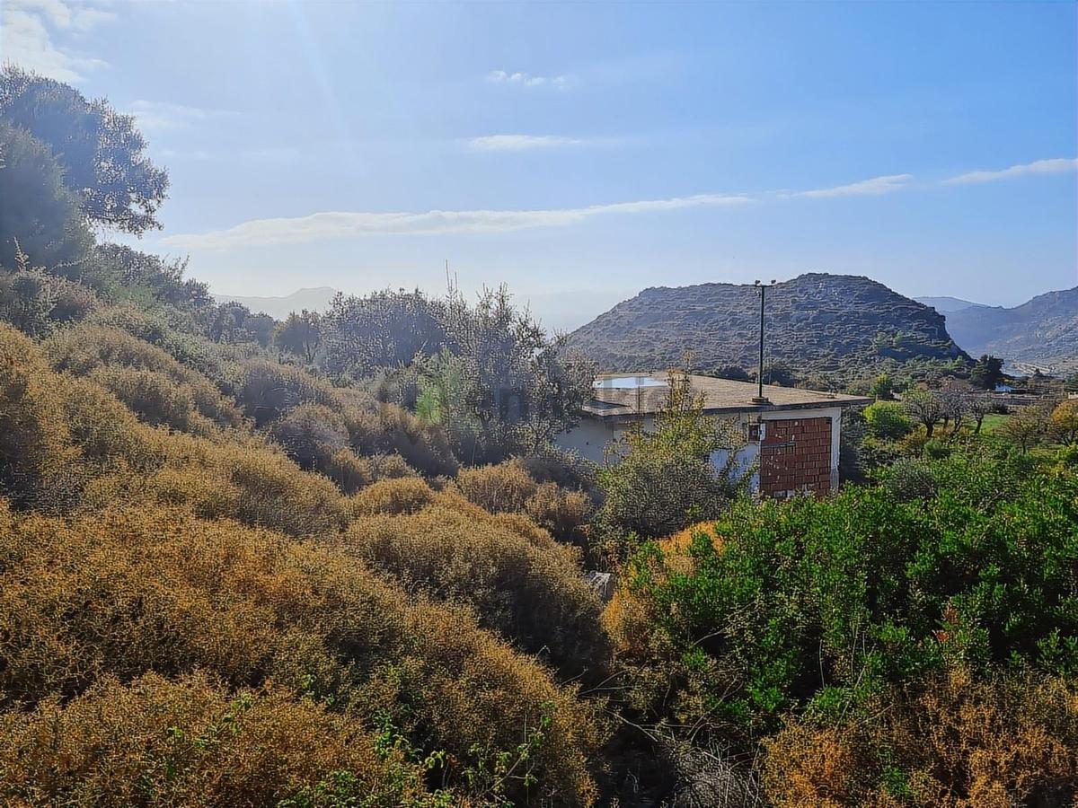 Select'ten Marmaris Söğüt'te İçinde Ev Olan 904 M² Tarla - 26