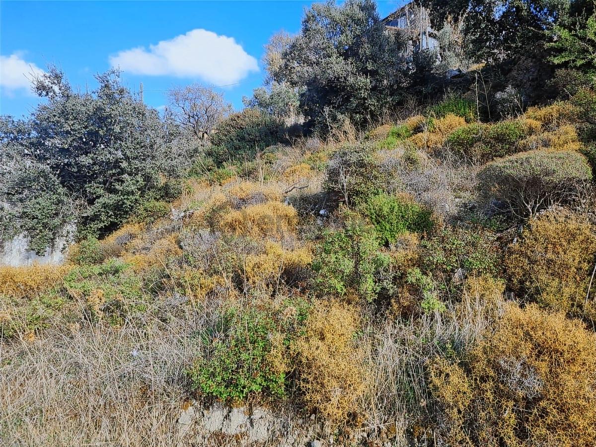 Select'ten Marmaris Söğüt'te İçinde Ev Olan 904 M² Tarla - 18