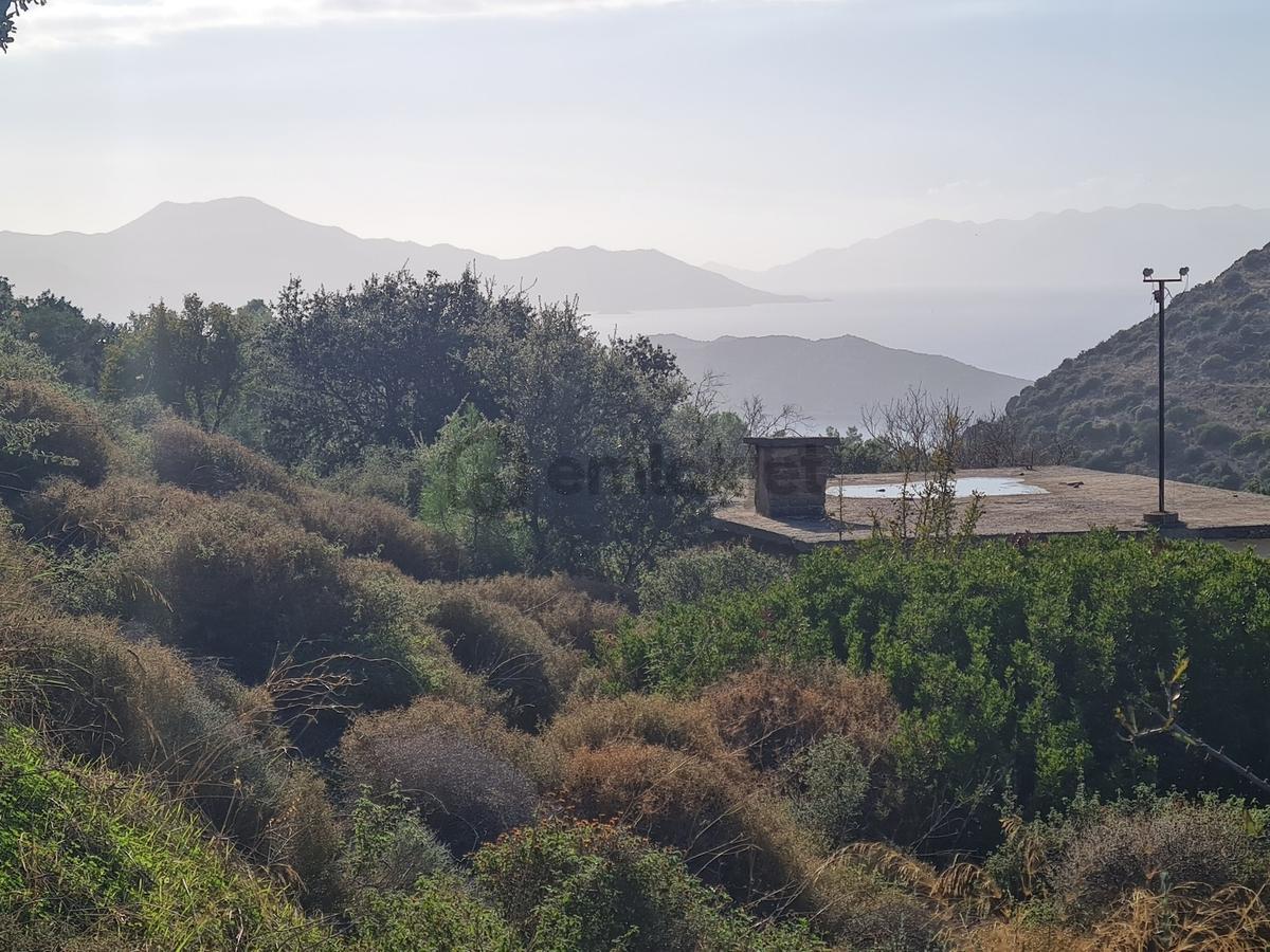 Select'ten Marmaris Söğüt'te İçinde Ev Olan 904 M² Tarla - 14