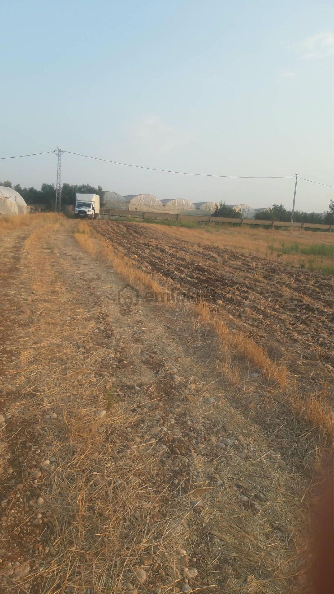 Tarıma Elverişli İçerisinde 3000 M2 Sera Olan Satılık Tarla - 2
