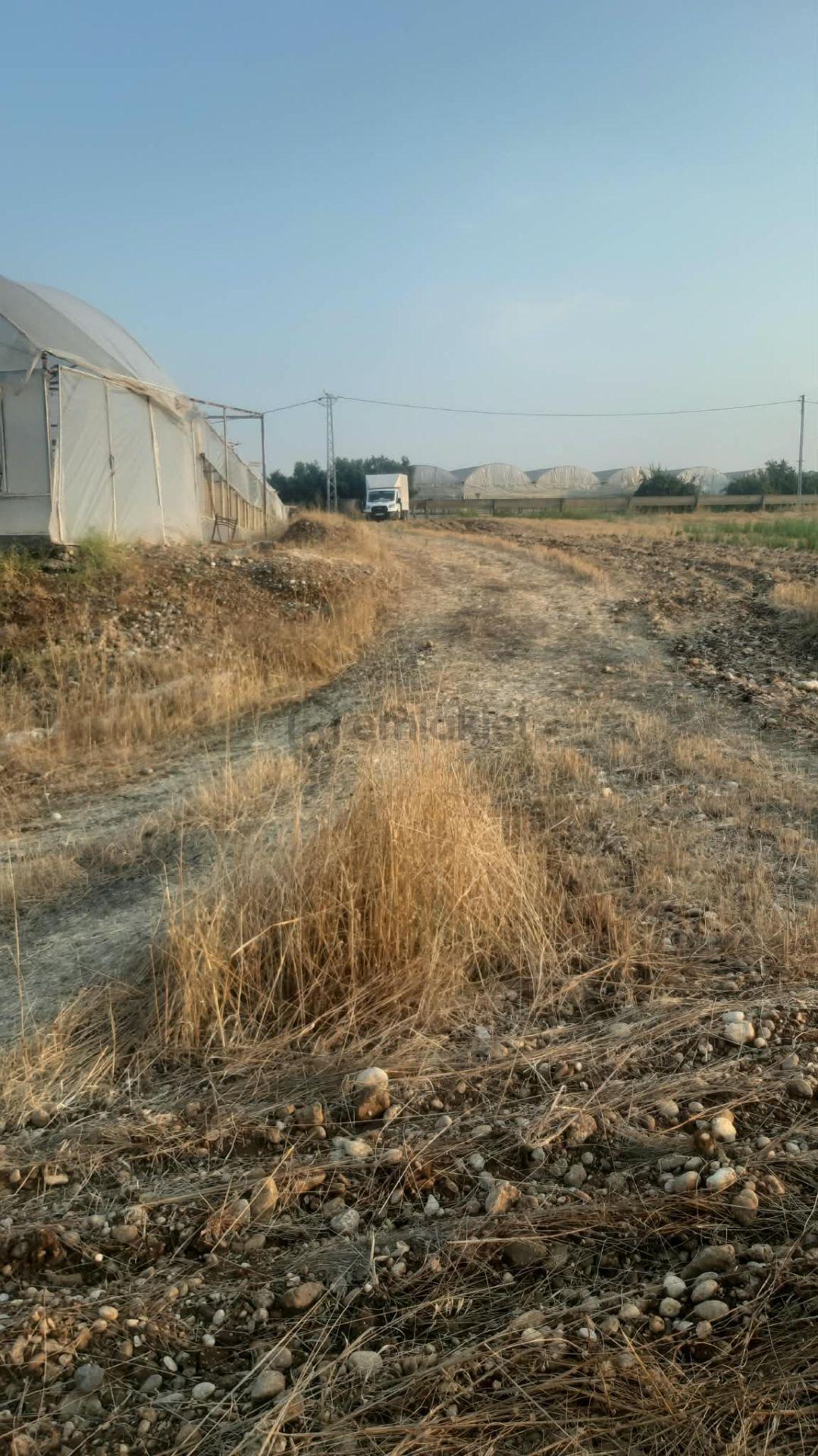 Tarıma Elverişli İçerisinde 3000 M2 Sera Olan Satılık Tarla - 5