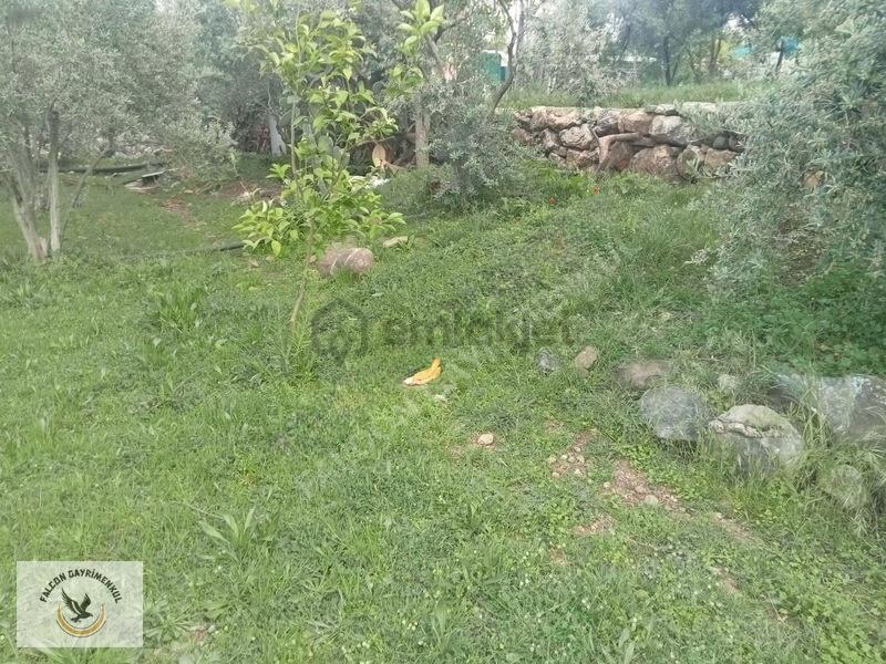 Falcon Dan Esenköy De Fırsat 500m² 40/80 İmarlı - 8