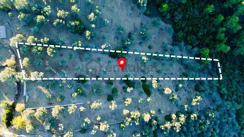 Bodrum Kızılağaç'ta Satılık 2803 M² Müstakil Tarla