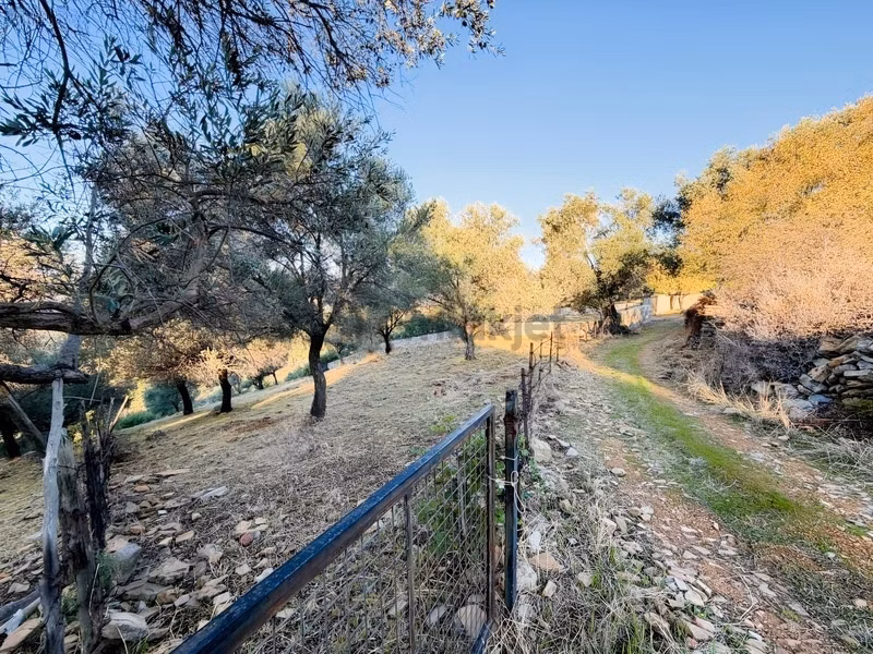 Bodrum Kızılağaç'ta Satılık 2803 M² Müstakil Tarla - 2
