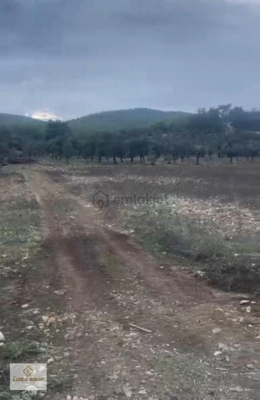 Eslider Den Bozbük De Deniz Kenarı Satılık - 14
