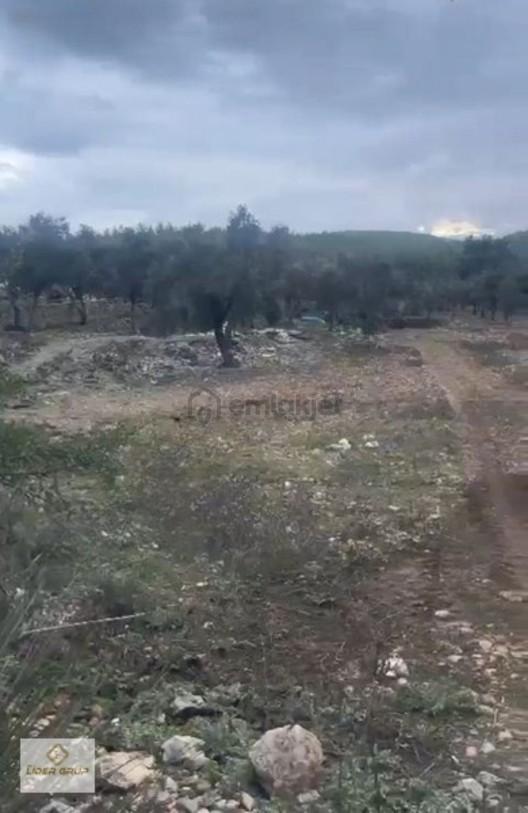 Eslider Den Bozbük De Deniz Kenarı Satılık - 15