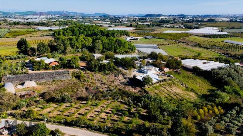 Serik Yeşilyurt'ta Satılık 2+1 Müstakil Ev (160m², Geniş Bahçeli - 21