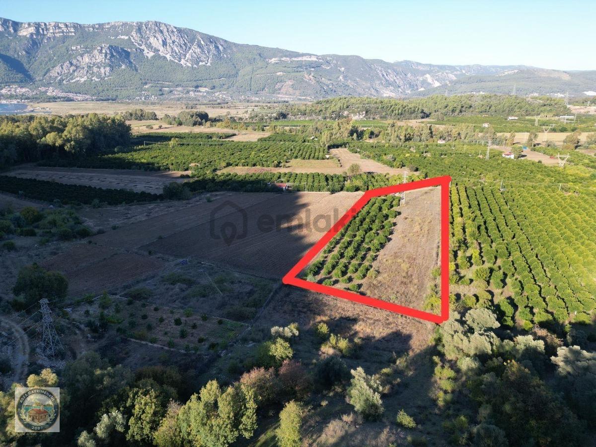 Gökçe'de Satılık Tarla