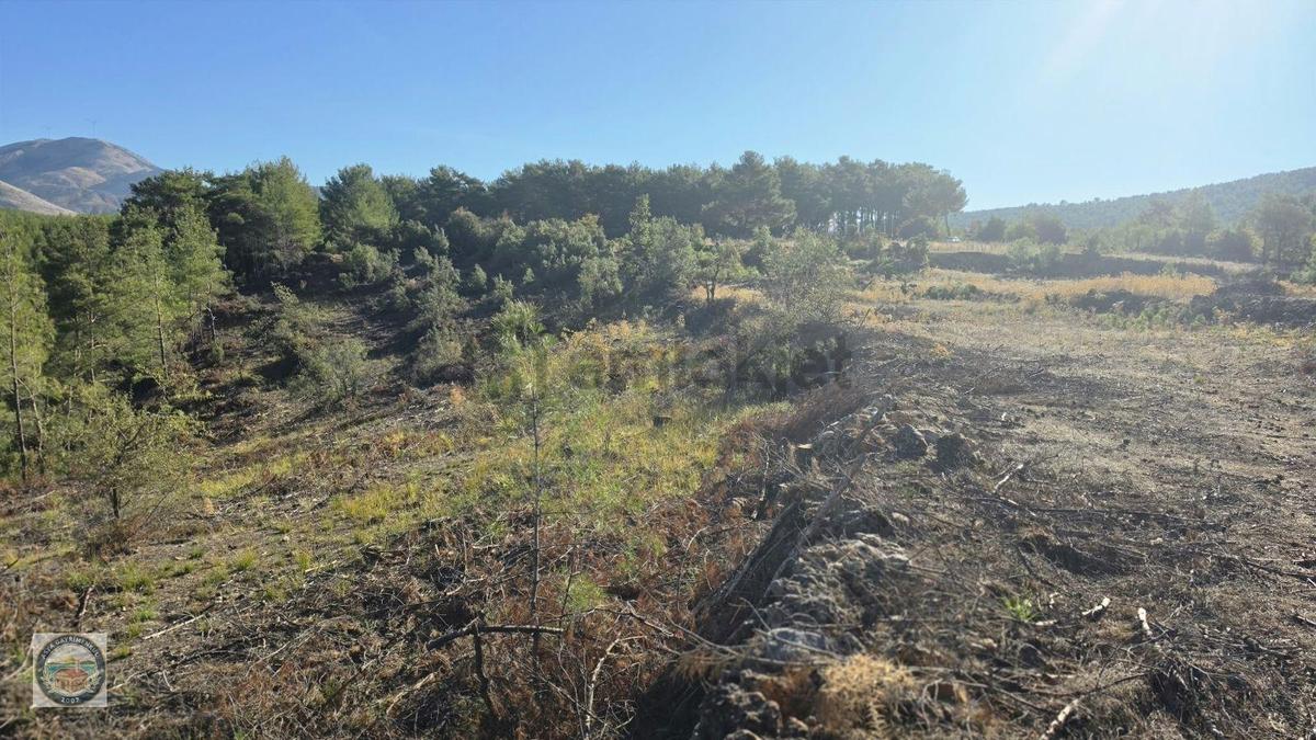 Muğla Menteşe Kozağaç Köyünde Satılık 18 Dönüm Tarla - 15