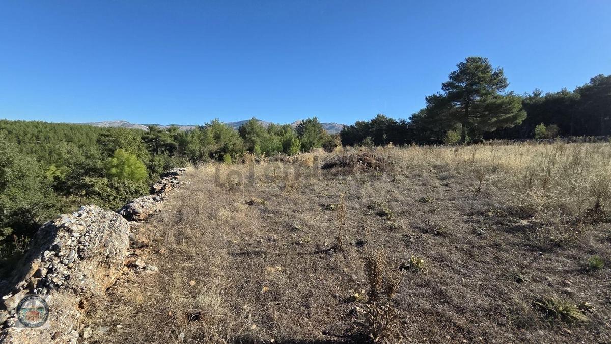 Muğla Menteşe Kozağaç Köyünde Satılık 18 Dönüm Tarla - 3