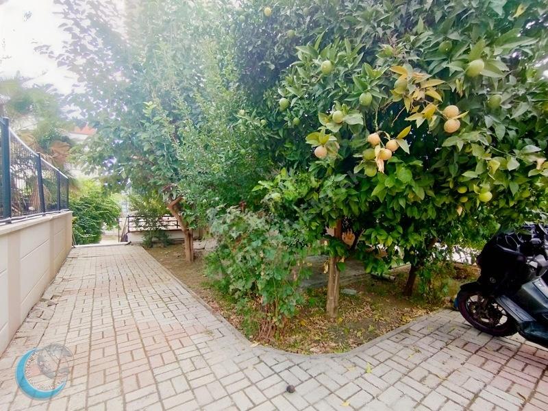 Alanya Cikcilli Mah Kiralık Daire - 33