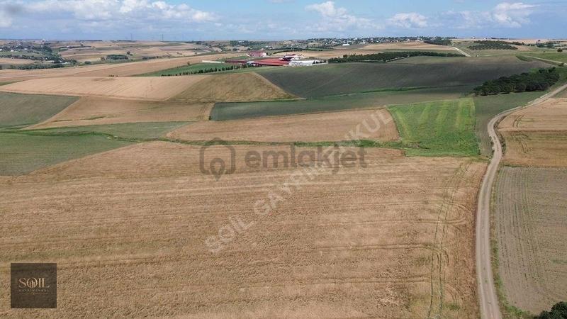 Tekirdağ Marmaraereğlisi Denize 700m Mesafede - 15