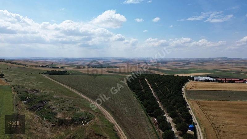 Tekirdağ Marmaraereğlisi Denize 700m Mesafede - 8