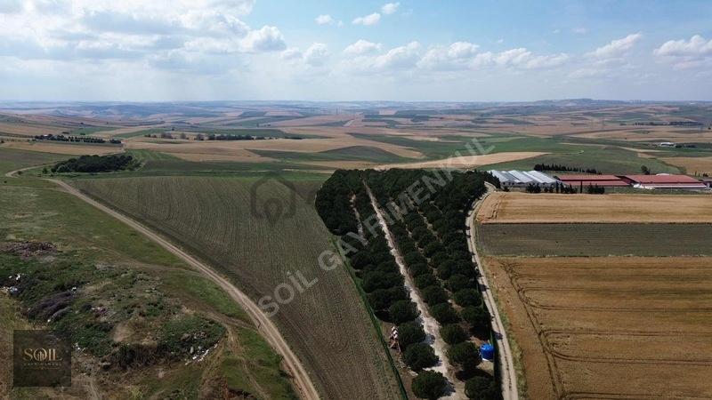 Tekirdağ Marmaraereğlisi Denize 700m Mesafede - 7