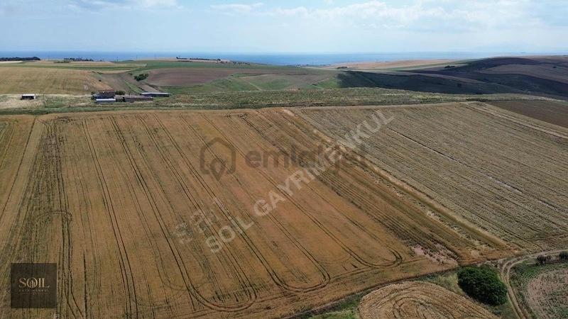 Tekirdağ Marmaraereğlisi 305m - 9