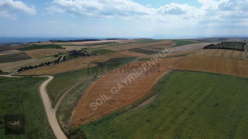 Tekirdağ Marmaraereğlisi 305m - 27
