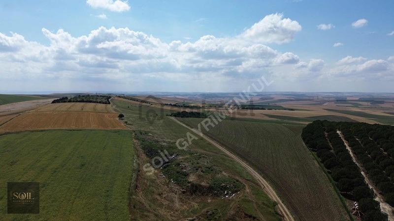 Tekirdağ Marmaraereğlisi 305m - 18