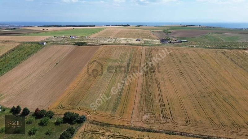 Tekirdağ Marmaraereğlisi 305m - 7