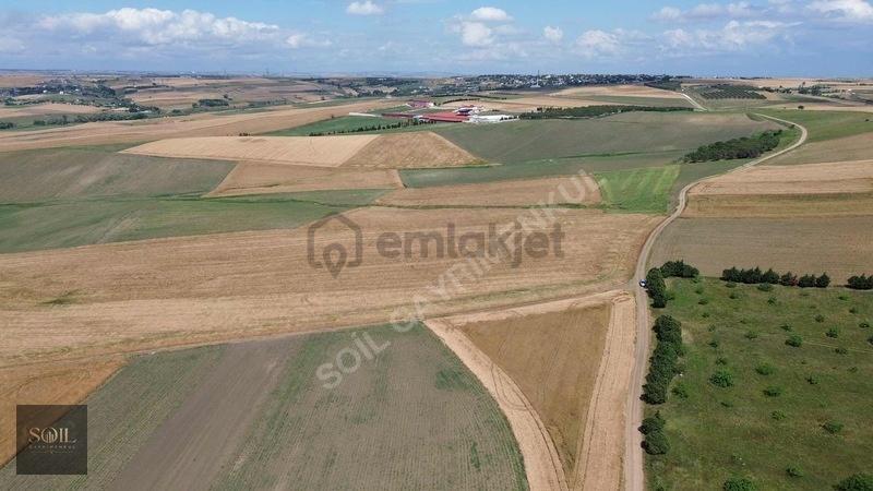 Tekirdağ Marmaraereğlisi 305m - 6