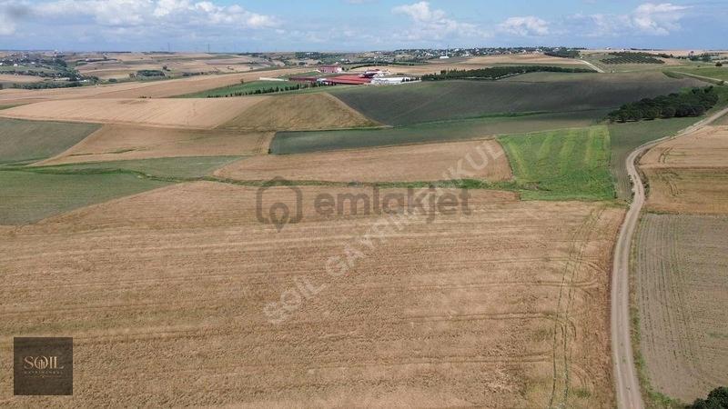 Tekirdağ Marmaraereğlisi 305m - 16