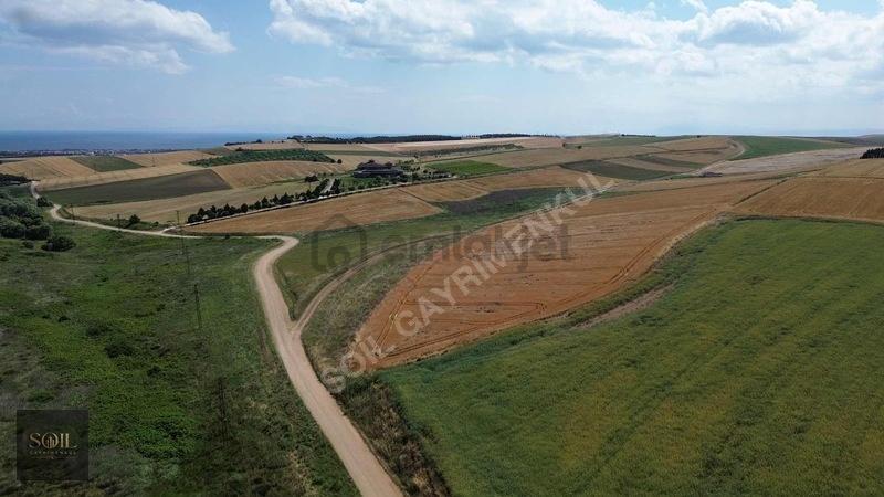 Tekirdağ Marmaraereğlisi 305m - 22
