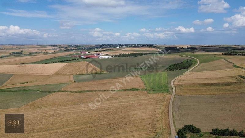 Tekirdağ Marmaraereğlisi 305m