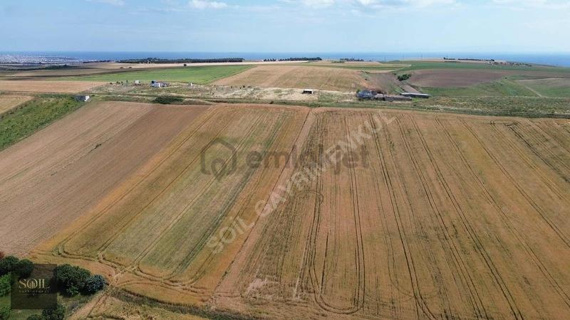 Tekirdağ Marmaraereğlisi 305m - 11