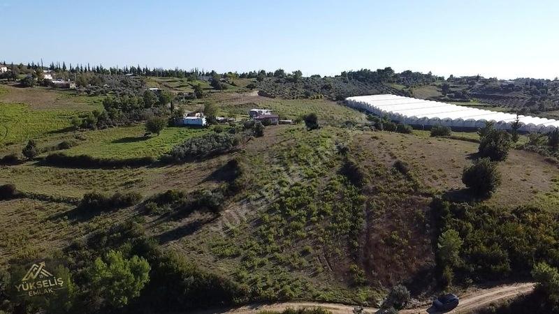 Aksaz Mahallesinde Tek Tapu Satılık Tarla - 11