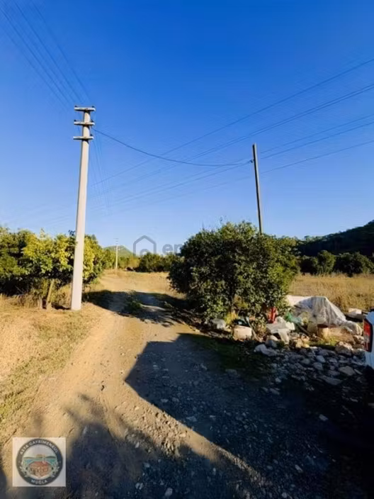 Gökçe'de Satılık Tarla - 3