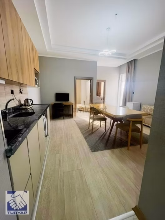 Merkezi Konumda 1+1 1+0 2+1 Kiralık Daireler Sıfır Eşyalı