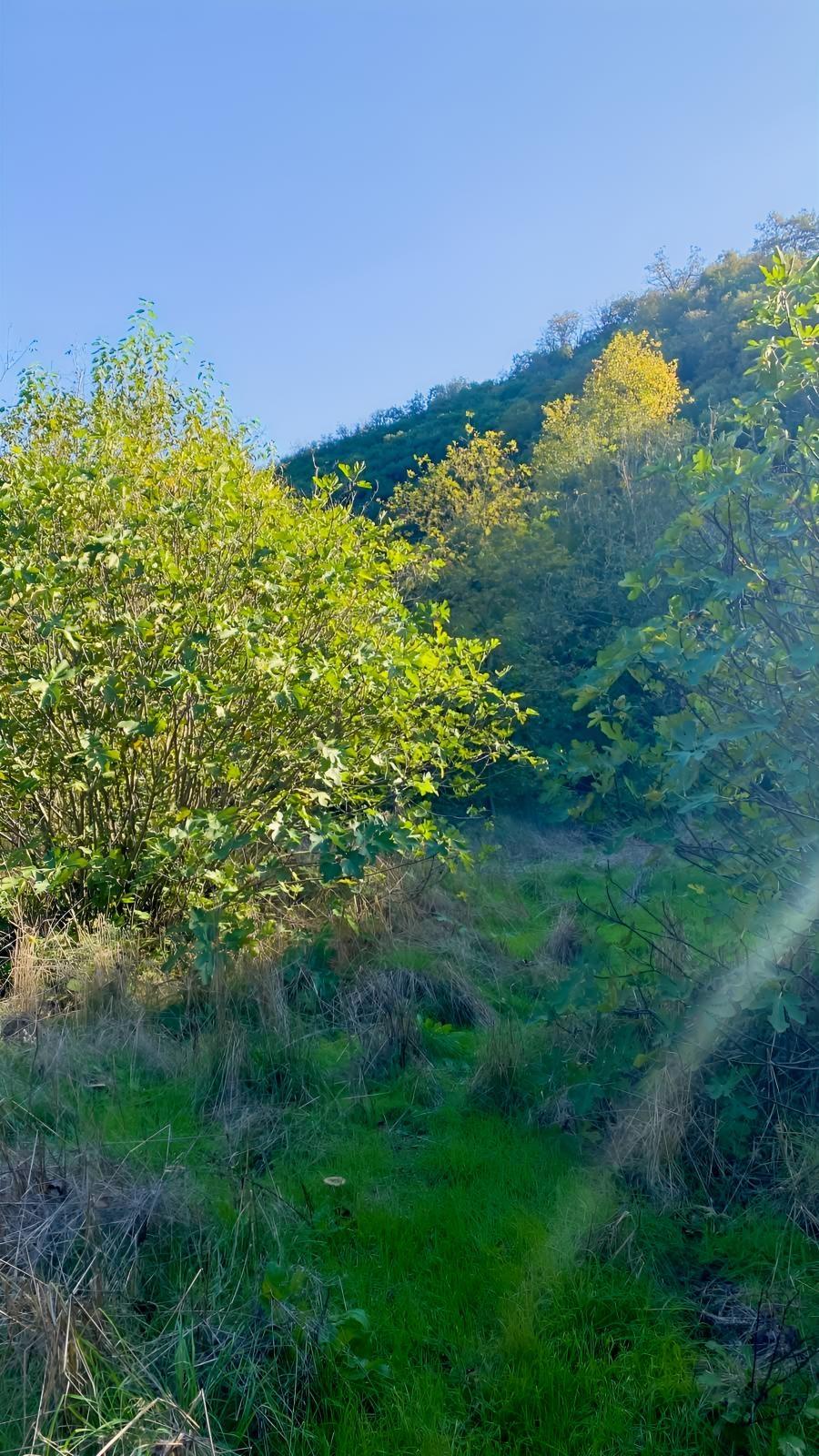 Akkayrak Köyü Satılık Bahçe - 27