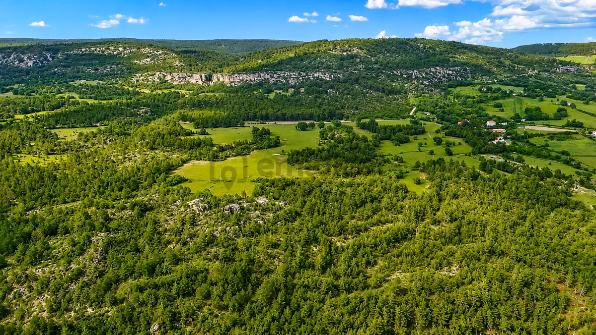 Kastamonu Araç Sofçular'da Çevresi Orman 11.500 M² Satılık Arazi - 2