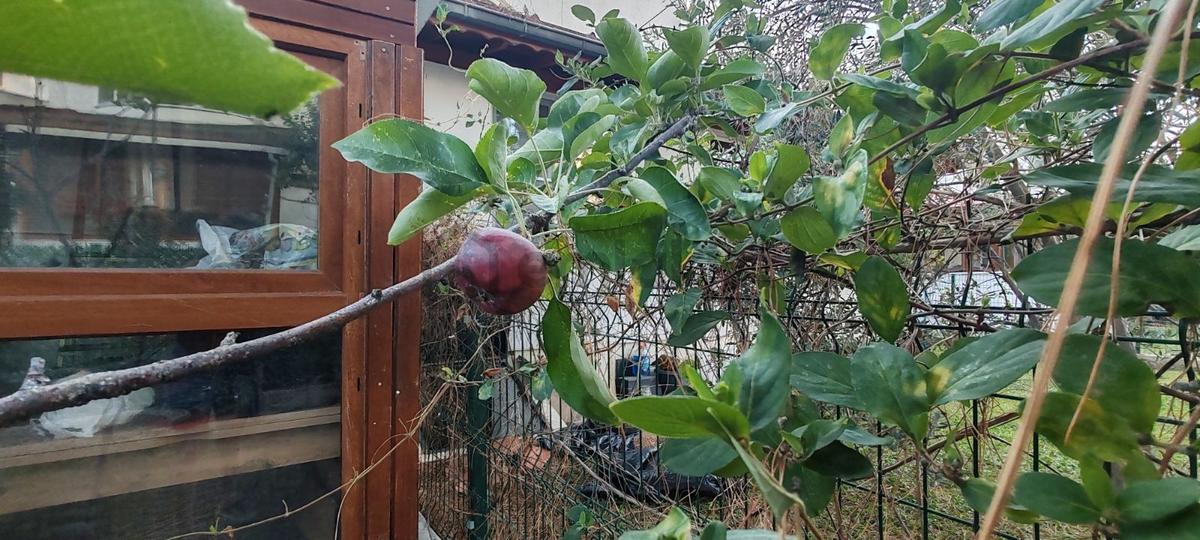 Burhaniye İmko Sitesi'nde Tümüyle Yenilenmiş Villa - 20