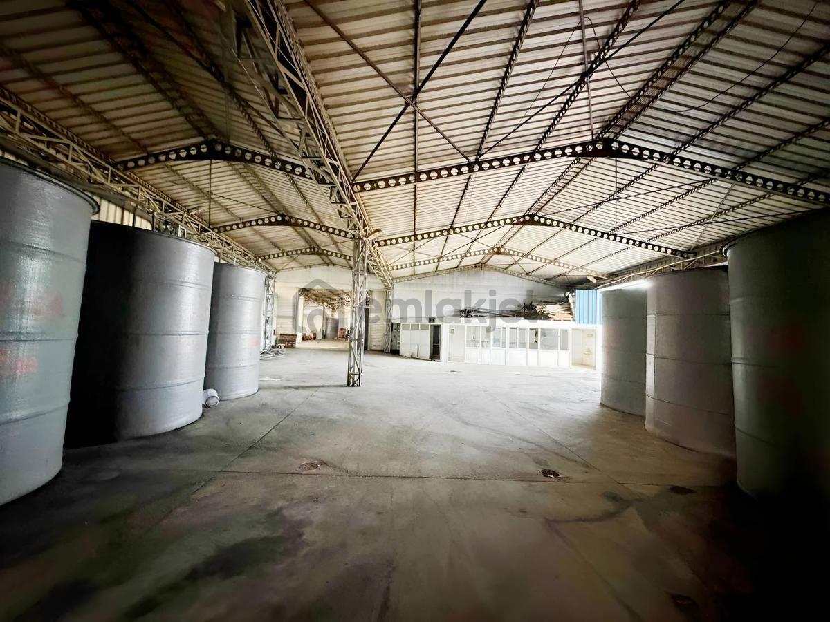 1.600 Ton Kapasiteli Zeytin Üretim Tesisi - 41