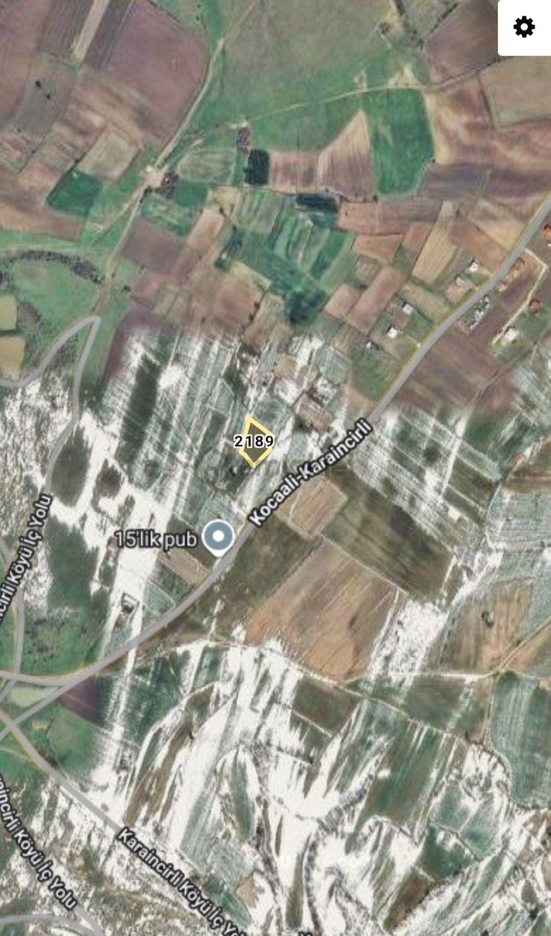Edirne Enez Karaincirli Köyünde 1540,m2-bahçe - 22