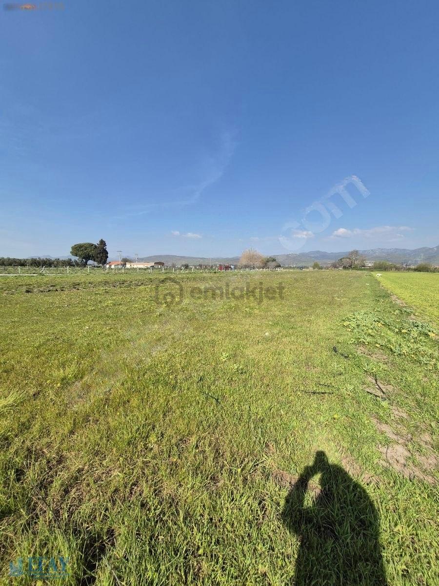 Kabakum'da 4725 M2 Tarla - 4