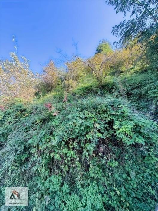 Satılık Bahçe Turnasuyunda 644 M2 - 12