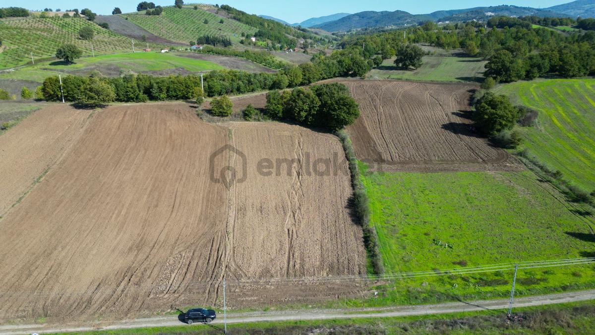 Uzmanlar'dan Çamdibi Meşelik Satılık 3351 M2 Tarla - 2