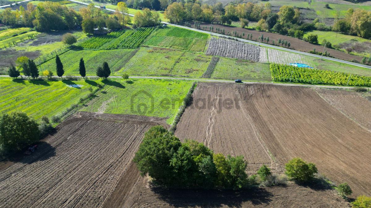 Uzmanlar'dan Çamdibi Meşelik Satılık 3351 M2 Tarla - 6