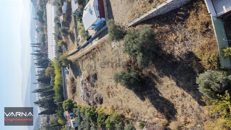Menderes Çamönü Satılık 1281 M2 Resmi Tapu Tarla - 18