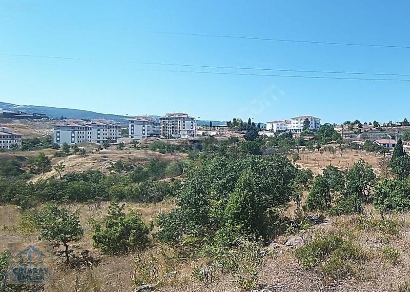 Söğüt Kayhan Mahallesi Toki Yakını 11840 M2 - 8