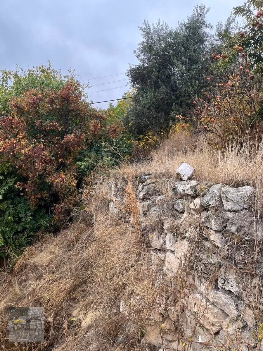 Satılık Köy İçi İmarlı Köy Evi Arsası - 3