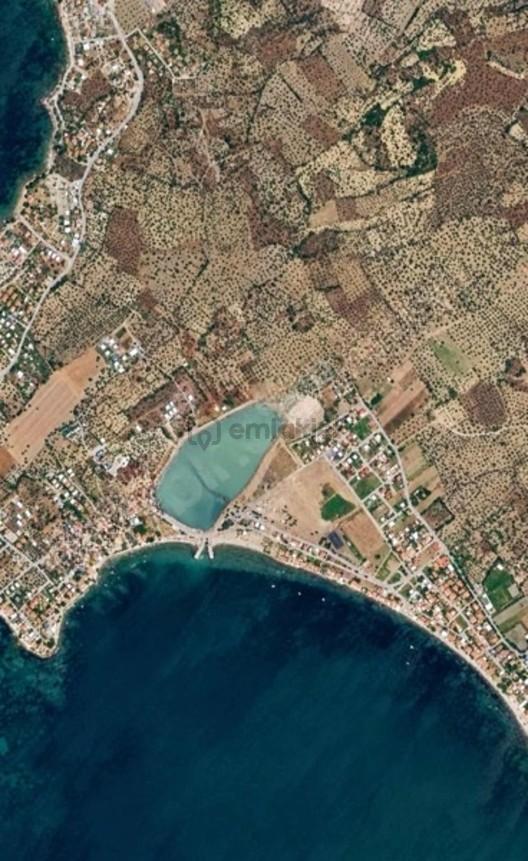 Coşkun Emlaktan Şakranda Satılık İmarlı Villa Arsası - 2