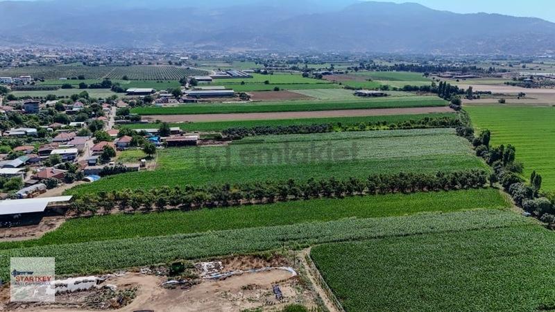Aydın Çine Sarıoğlu Mh 19.614 M2 Satılık Tarla - 15